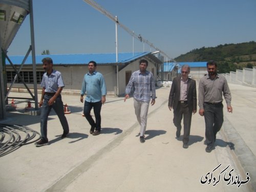 بازدید فرماندار از مجهزترین پروژه پرورش مرغ مادر استان