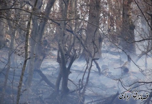 آتش سوزی گسترده در چندین نقطه از مناطق جنگلی کردکوی با همیاری نیروهای مردمی و بسیج مهار گردید