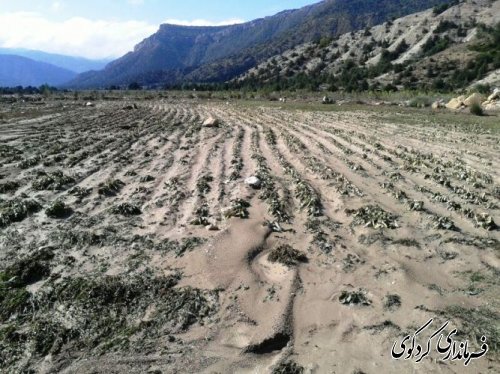 خسارات ناشی از بارندگی شدید در کردکوی