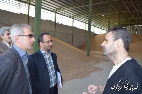 بازدید فرماندار از کارخانه آرد زاهدی کردکوی