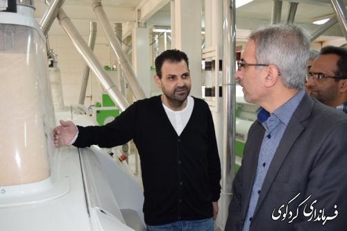 بازدید فرماندار از کارخانه آرد زاهدی کردکوی