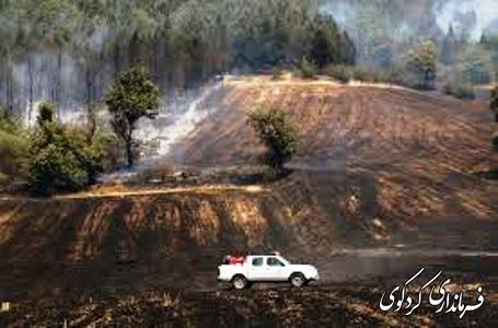 مهار آتش سوزی در جنگل های کردکوی
