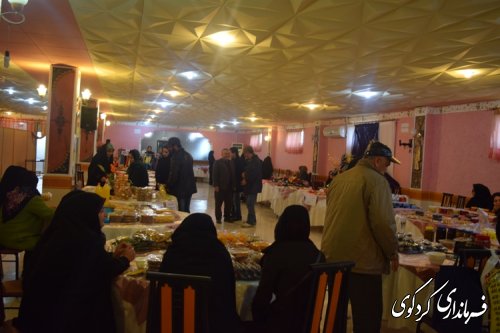 بازدید فرماندار از نمایشگاه یک روزه مشاغل خانگی شهرکردکوی