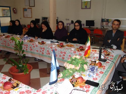 فرماندار کردکوی: ساماندهی و توانمندسازی بانوان بویژه در مباحث اشتغال و مشاغل خانگی