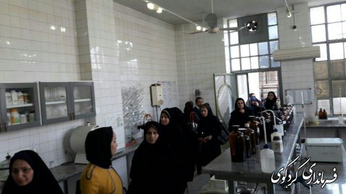 کارگروه زنان و خانواده فرمانداری و فعالان زن در حوزه فرهنگی و اجتماعی از کارخانه تولیدی رعنا  باز دید کردند.