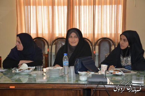 جلسه کارگروه اموربانوان به مناسبت برزگداشت هفته  عفاف و حجاب تشکیل شد 