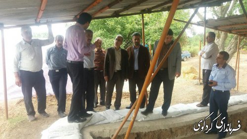 بازدید جمالی فرماندار  از مکانهای تاریخی روستای گردشگری سرکلانه کردکوی