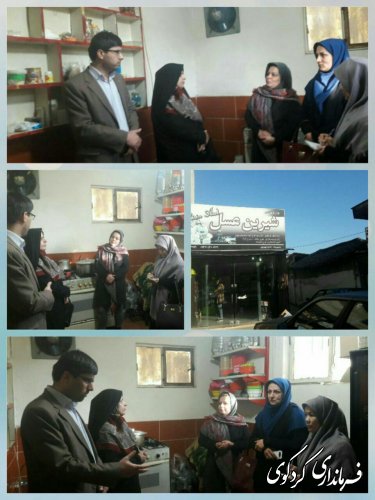 بازدید مدیرکل دفتر امورزنان و خانواده از شرکتهای تعاونی  بانوان کردکوی 
