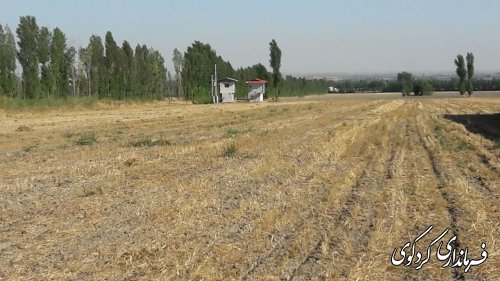قدمنان فرماندار باتفاق مدیرجهاد کشاورزی ازچندمزرعه سویاشهرستان بازدید کرد