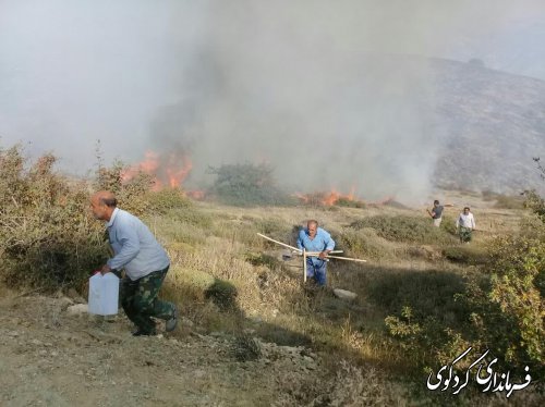 سهل انگاری گردشگران علت اصلی شعله ور شدن آتش در منطقه هزارمنزل درازنو بوده است.