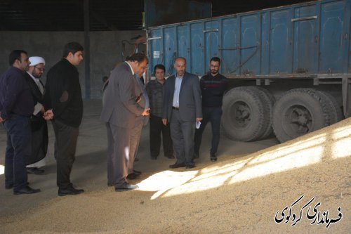 بازدید سرزده فرماندار کردکوی از نحوه تهیه و توزیع بذر محصولات گندم و جو