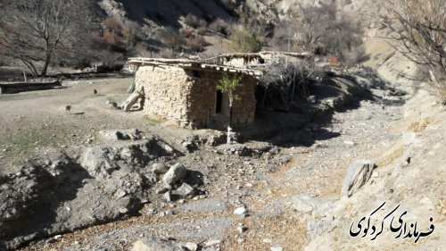 قدمنان فرماندار کردکوی: ۱۰۰ هکتار از اراضی کوهپایه ای شهرستان جنگلکاری می شود.