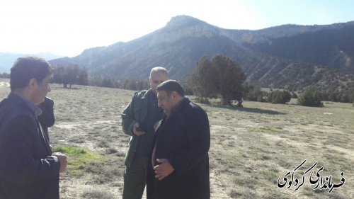 قدمنان فرماندار کردکوی: ۱۰۰ هکتار از اراضی کوهپایه ای شهرستان جنگلکاری می شود.