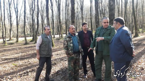 70 هکتار از اراضی جنگلی کردکوی غنی سازی و بذر پاشی می شود