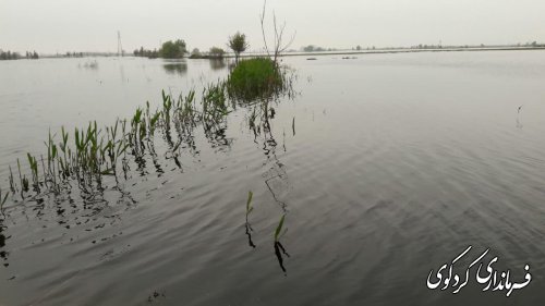 قدمنان رئیس مدیریت بحران شهرستان: سطح سیلاب در اراضی کشاورزی پایین تر آمد