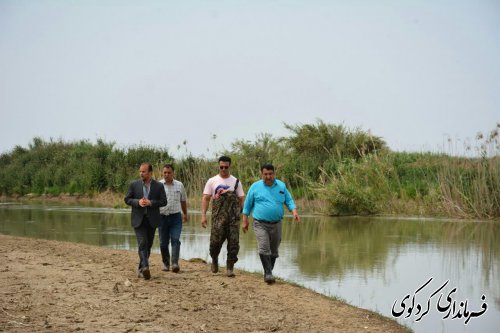 بازدید میدانی فرماندار از زمینهای کشاورزی زیرآب چلدین کردکوی 