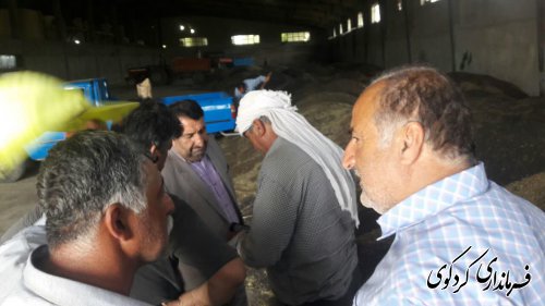 باز دید فرمانداراز چند مرکز خرید و انبارهای تحویل کلزای شهرستان کردکوی