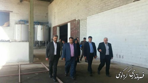  فرماندار کردکوی با تفاق مدیرکل صمت و تغدادی سرمایه گذار از کارخانه تولید نئوپان شهرستان بازدید کردند.