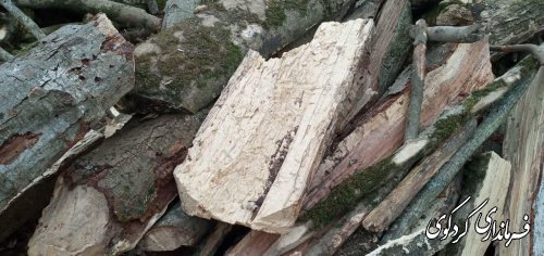 قدمنان فرماندار کردکوی: از ابتدای سال جاری تاکنون ۱۰ تن چوب جنگلی از متخلفان و قاچاقچیان در این شهرستان کشف و ضبط شده است.