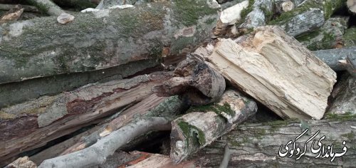 کشف و ضبط ۱۰ تن چوب جنگلی از متخلفان و قاچاقچیان از ابتدای سال جاری تاکنون