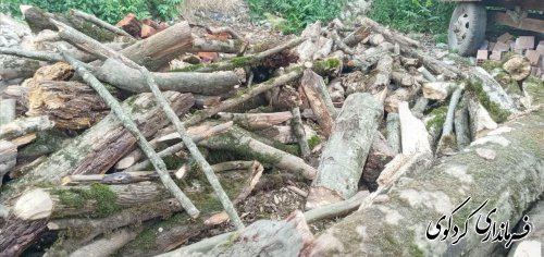 قدمنان فرماندار کردکوی: از ابتدای سال جاری تاکنون ۱۰ تن چوب جنگلی از متخلفان و قاچاقچیان در این شهرستان کشف و ضبط شده است.