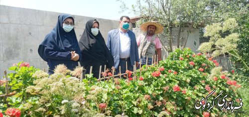 کردکوی مستعد   تولید گیاهان دارویی در استان میباشد