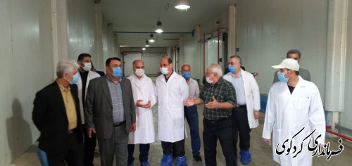 بازدید دکتر حق شناس استاندار گلستان از تنها کارخانه فرآوری و بسته بندی میگوی استان در کردکوی 