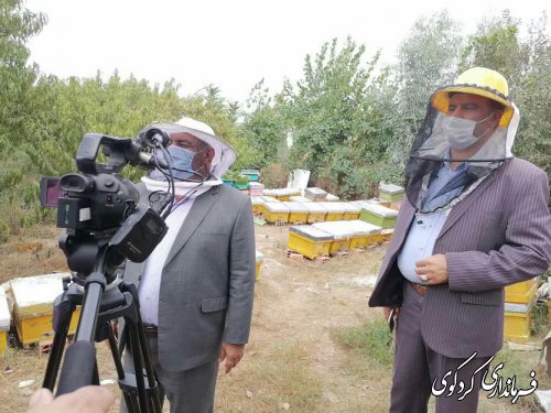 میزان تولید سالانه عسل شهرستان بین ۶۰_۷۰ تن براورد می شود و ۲۵۹ نفر در این عرصه فعالیت دارند.