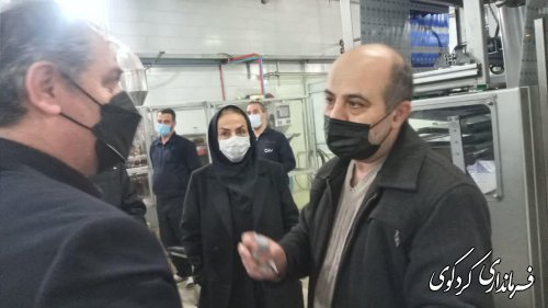  فرماندار کردکوی از کارخانه روغن و سس مایونز عالیا کردکوی بازدید کرد