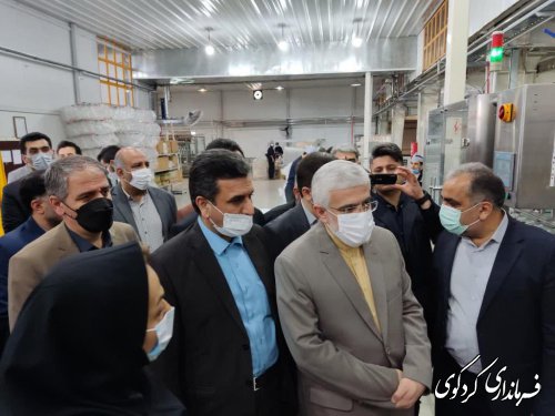 دکتر علی محمد زنگانه استاندار گلستان از کارخانه تولیدی عالیای گلستان ( رعنا ) بازدید کرد