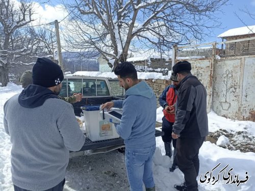 گزارش تصویری // اخذ رای در مناطق کوهپایه ای شهرستان کردکوی